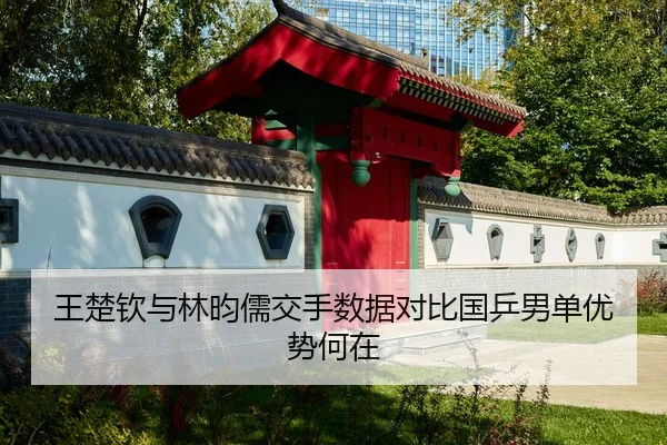 王楚钦与林昀儒交手数据对比国乒男单优势何在